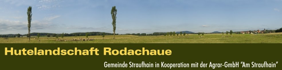Hutelandschaft Rodachaue